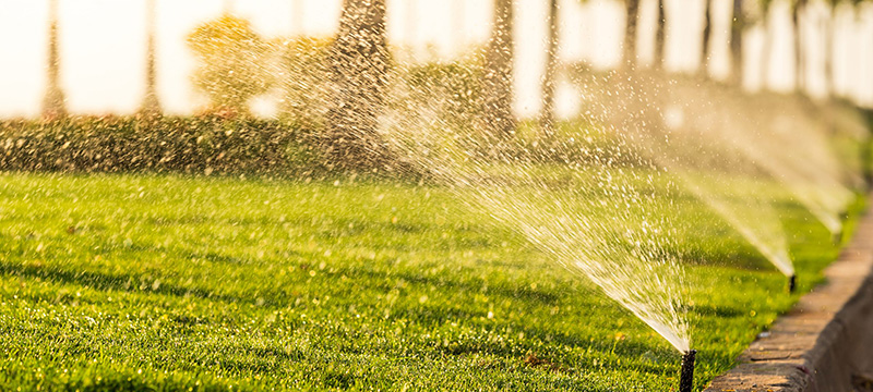 CisgenX Launches in the U.S., Leading the Way in Smart Irrigation Solutions for Water and Energy Efficiency